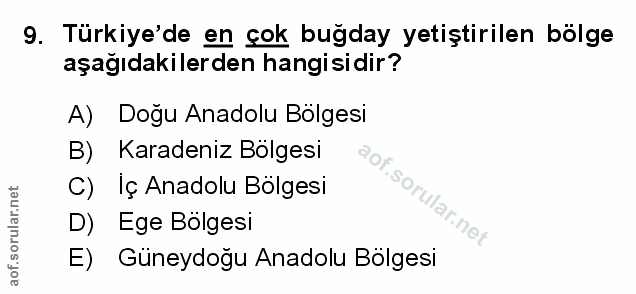 Soru 9