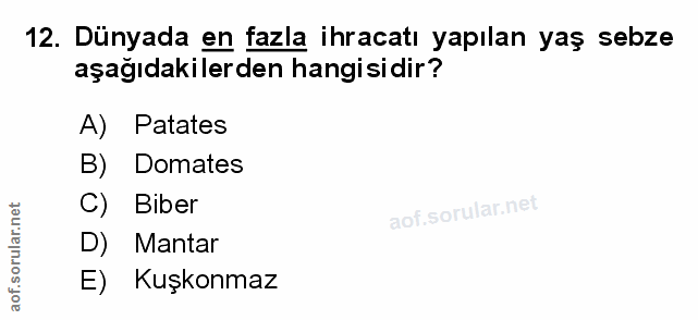 Soru 12