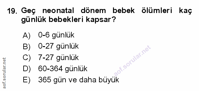 Soru 19