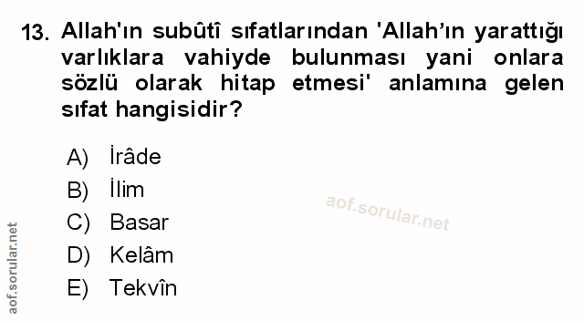 Soru 13