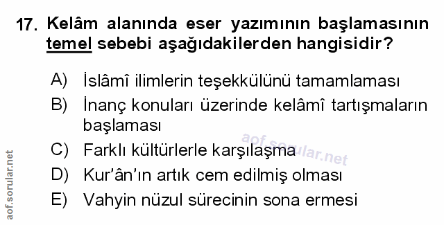 Soru 17