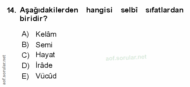 Soru 14