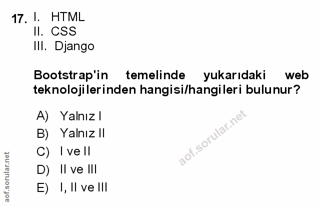 Soru 17