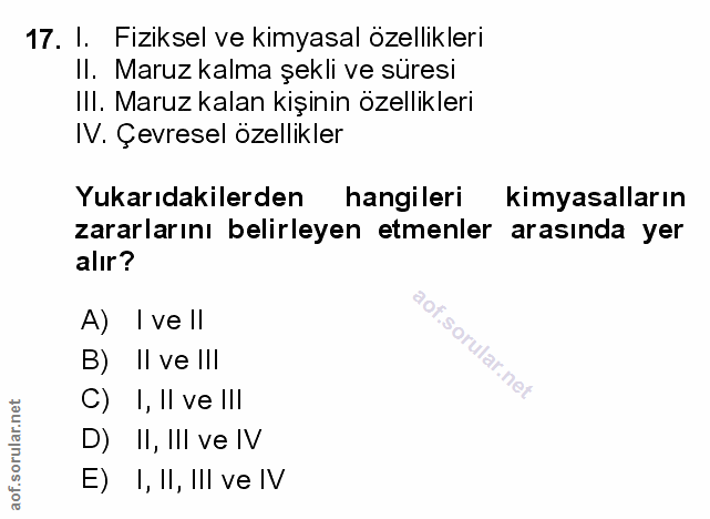 Soru 17