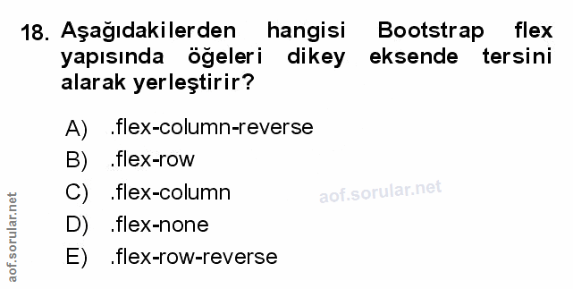 Soru 18