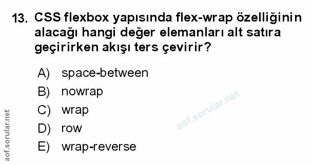 Soru 13