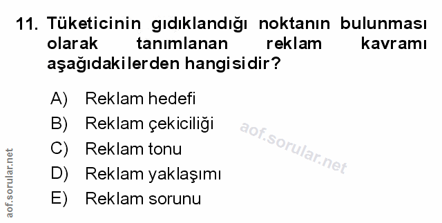 Soru 11