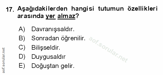 Soru 17