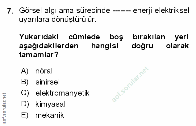 Soru 7