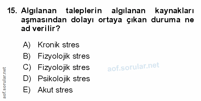 Soru 15
