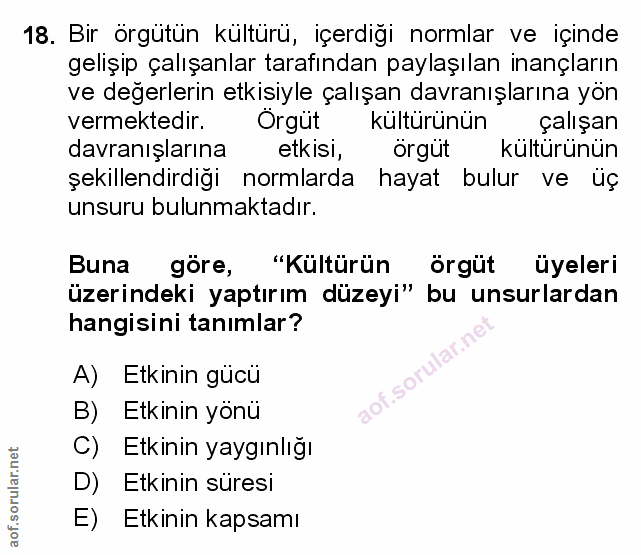 Soru 18