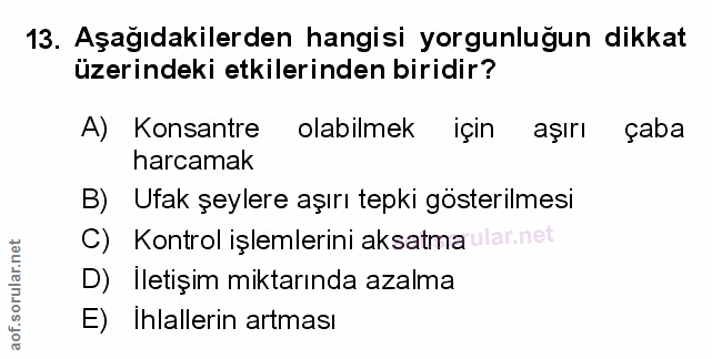 Soru 13