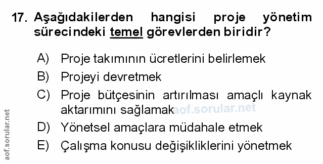 Soru 17