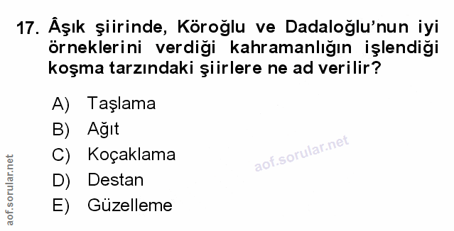 Soru 17