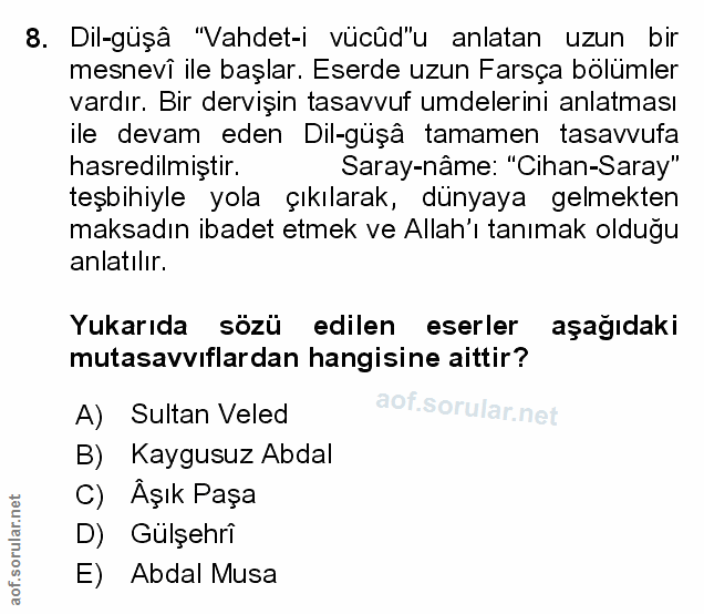 Soru 8