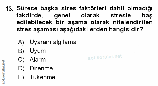 Soru 13
