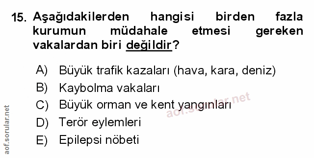 Soru 15