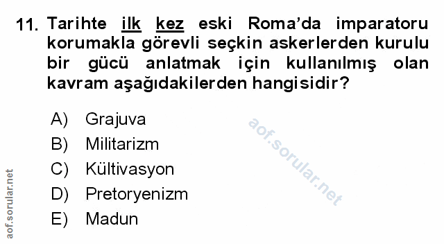 Soru 11