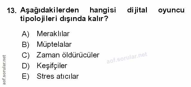 Soru 13