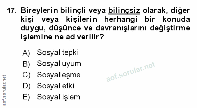 Soru 17