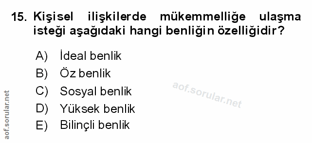 Soru 15