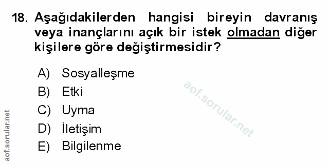 Soru 18