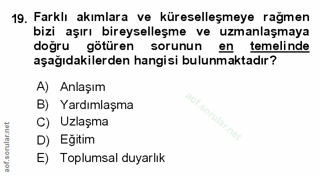 Soru 19