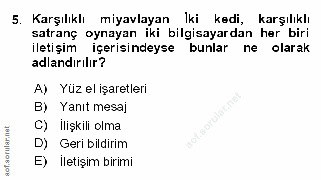 Soru 5
