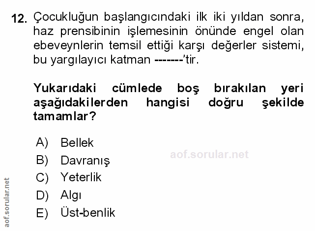 Soru 12