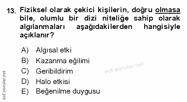 Soru 13