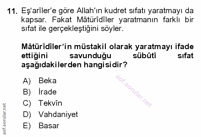 Soru 11