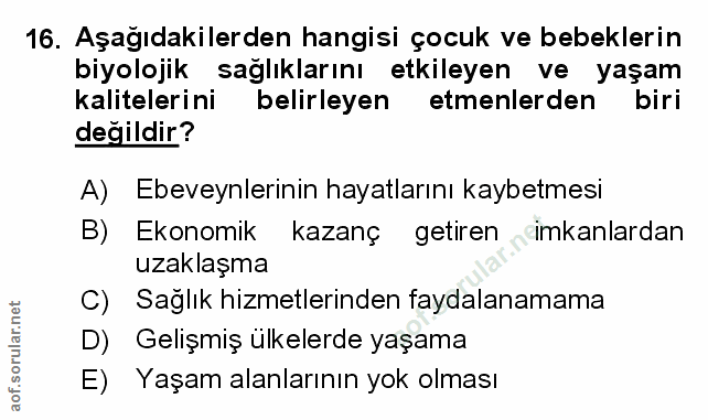 Soru 16