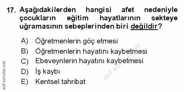 Soru 17