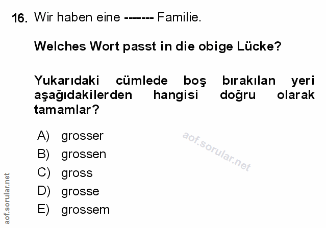 Soru 16