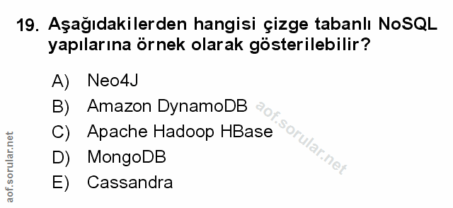 Soru 19