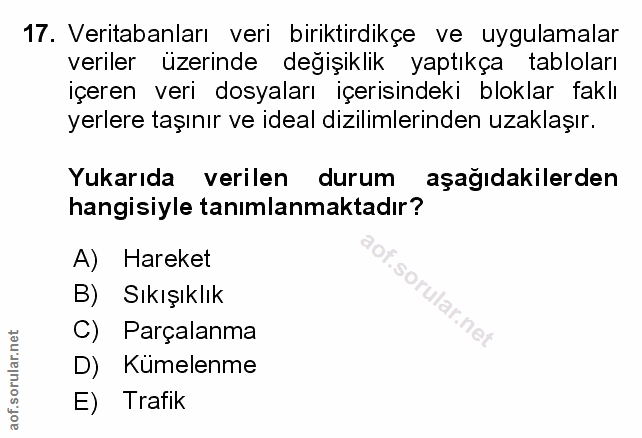 Soru 17