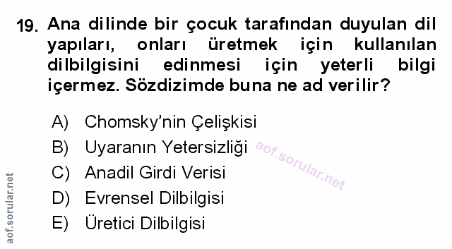 Soru 19