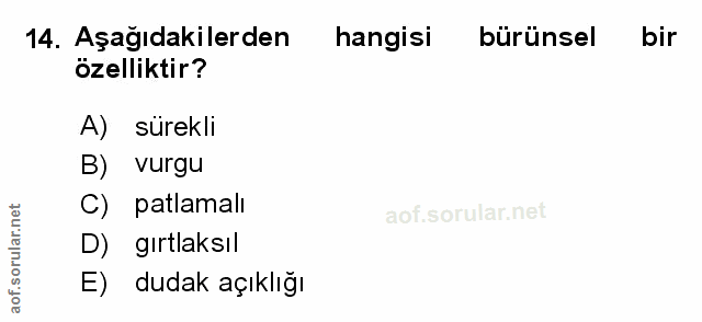 Soru 14