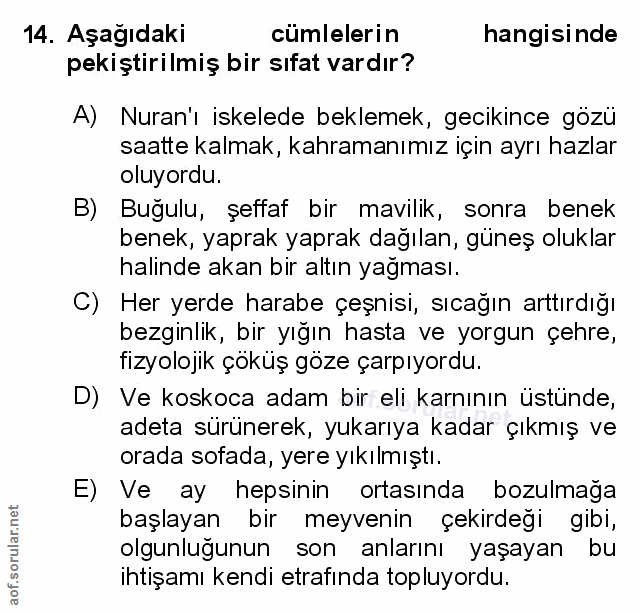 Soru 14