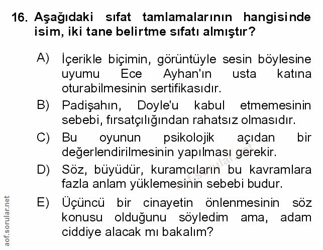 Soru 16