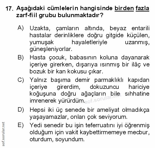 Soru 17
