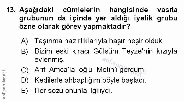 Soru 13