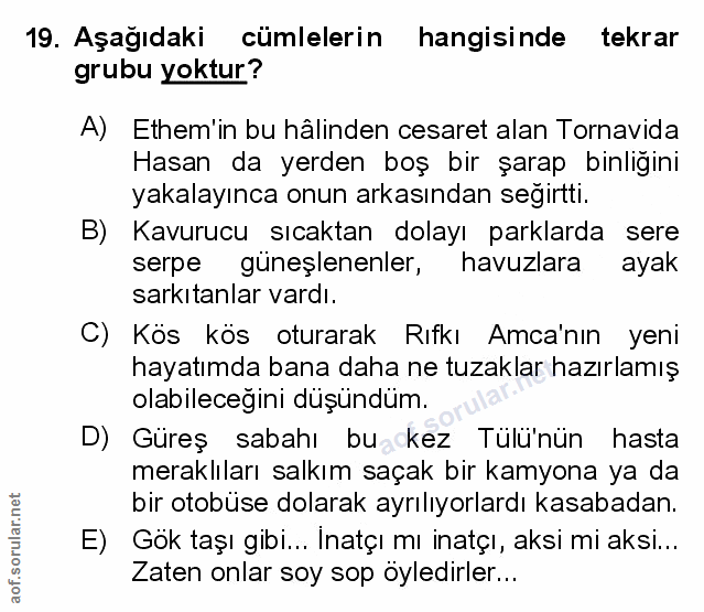 Soru 19