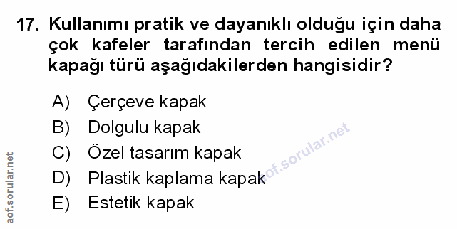 Soru 17
