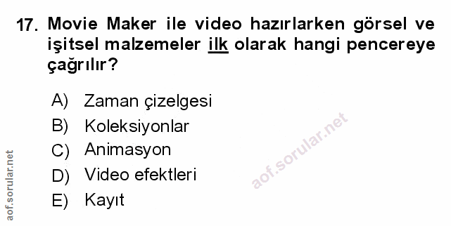 Soru 17
