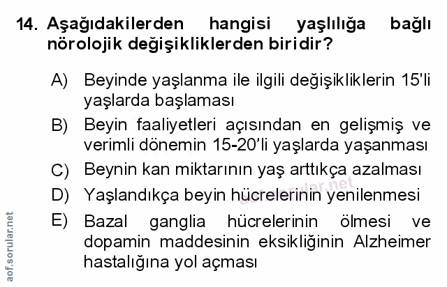 Soru 14