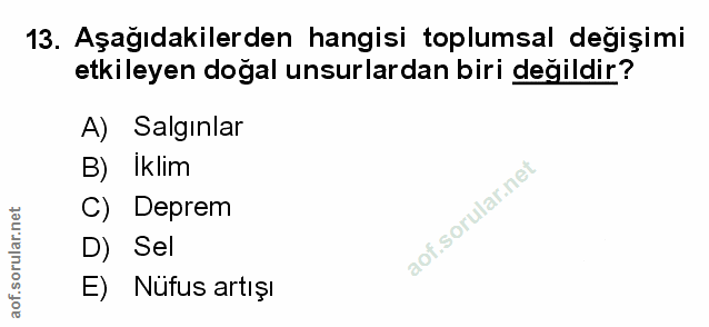 Soru 13