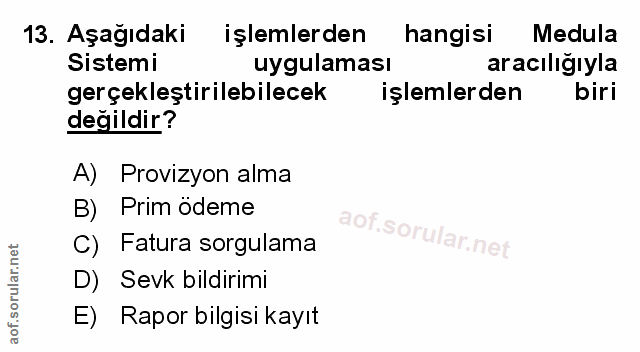 Soru 13