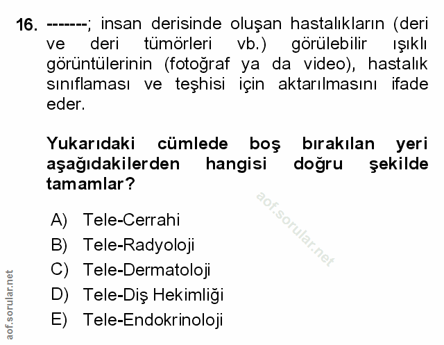 Soru 16