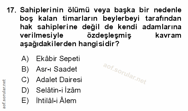 Soru 17